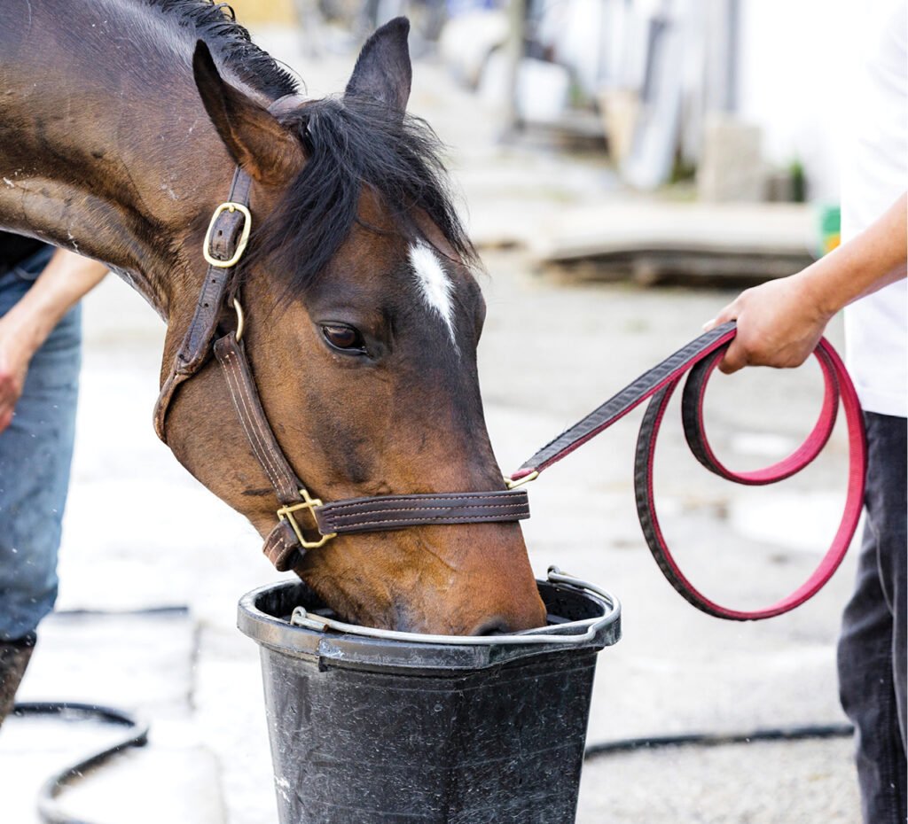 Healthy Feeding Habits, All Winter Long