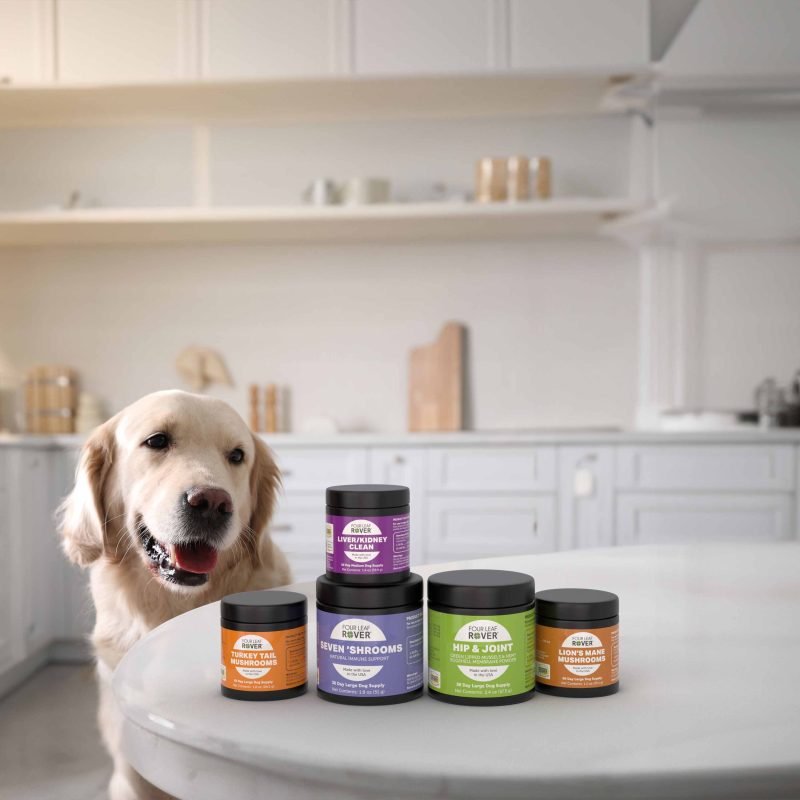Four Leaf Rover Mushroom Supplements: A Deep Dive into Immune Support for Dogs