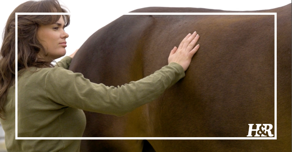 Jim Masterson’s Tips to Differentiate Between Behavioral or Physical Issues in Your Horse