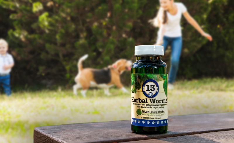 The Best Natural Wormer & Wellness Supplements for Dogs