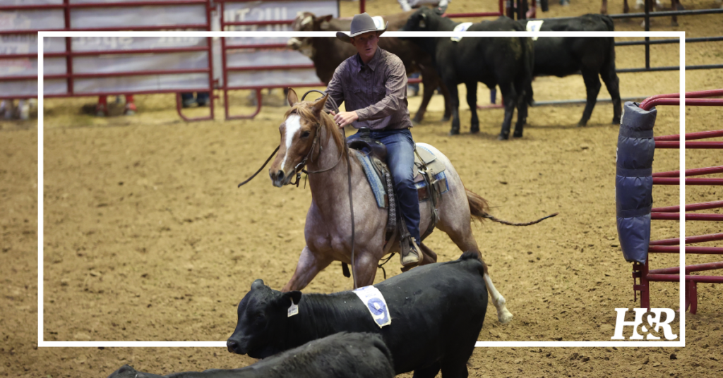 $15K San Antonio Stock Show & Rodeo Ranch Sorting Results