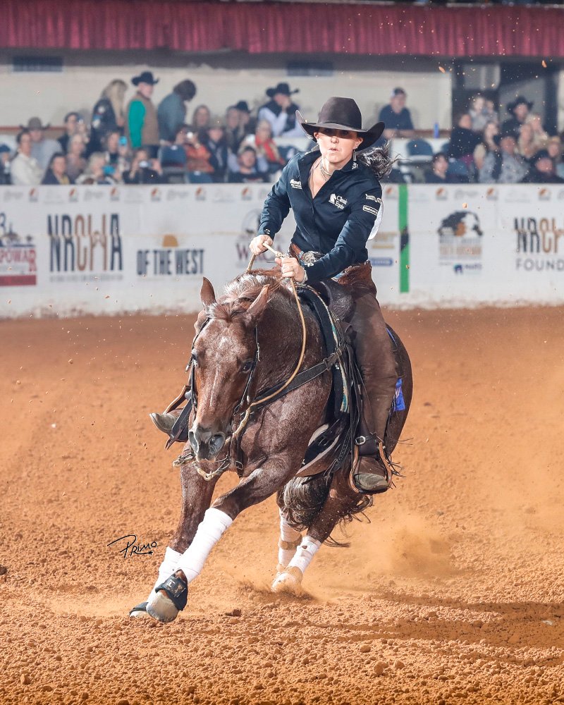 Top 50 Reined Cow Horses of 2025: Earnings, Bloodlines, and Standout Performers