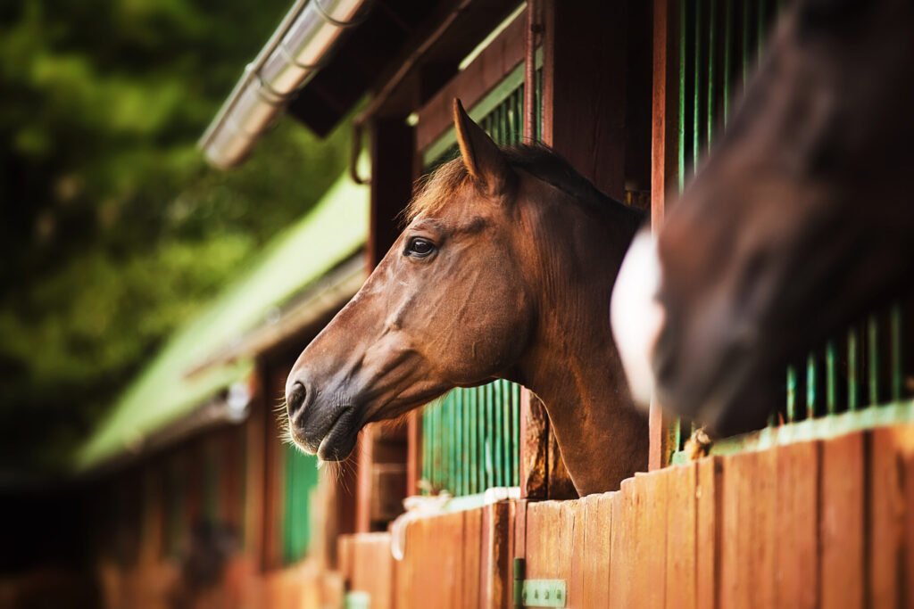 New Equine Influenza Case Confirmed at Oregon Boarding Facility