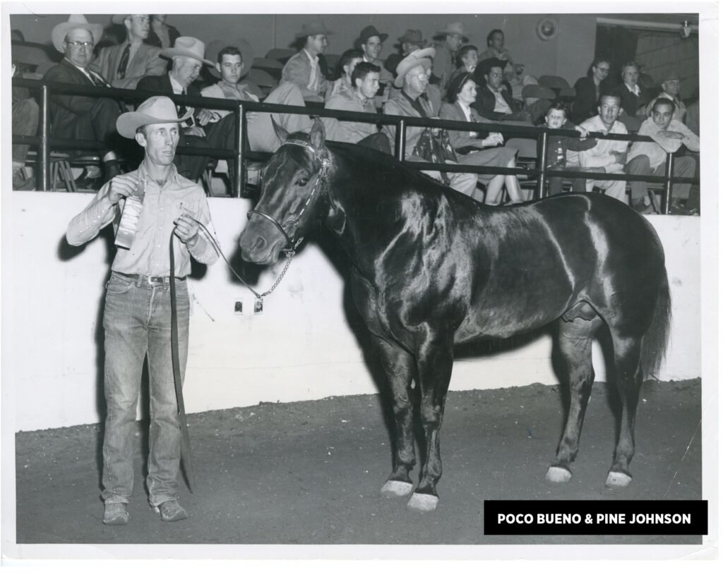 The Ride Podcast Bonus Episode: The Blueprint of the Modern Performance Horse