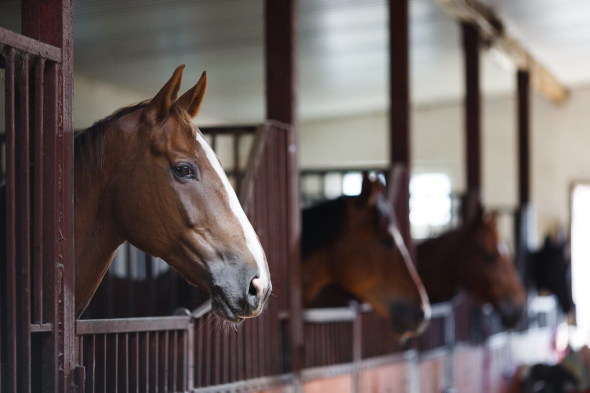 EIA Cases Confirmed in Alberta and British Columbia