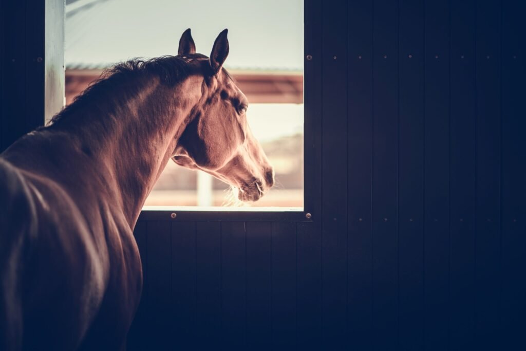 Michigan Quarter Horse Tests Positive for Equine Influenza