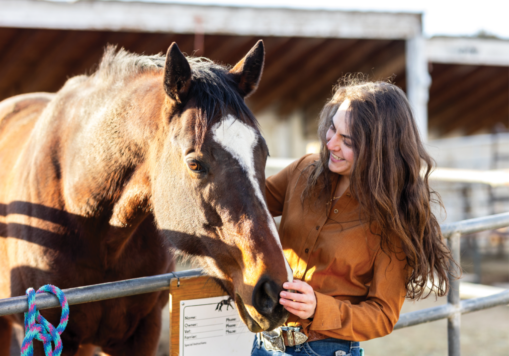 How to Evaluate Horse Health Claims: A 7-Step Red-Flag Checklist