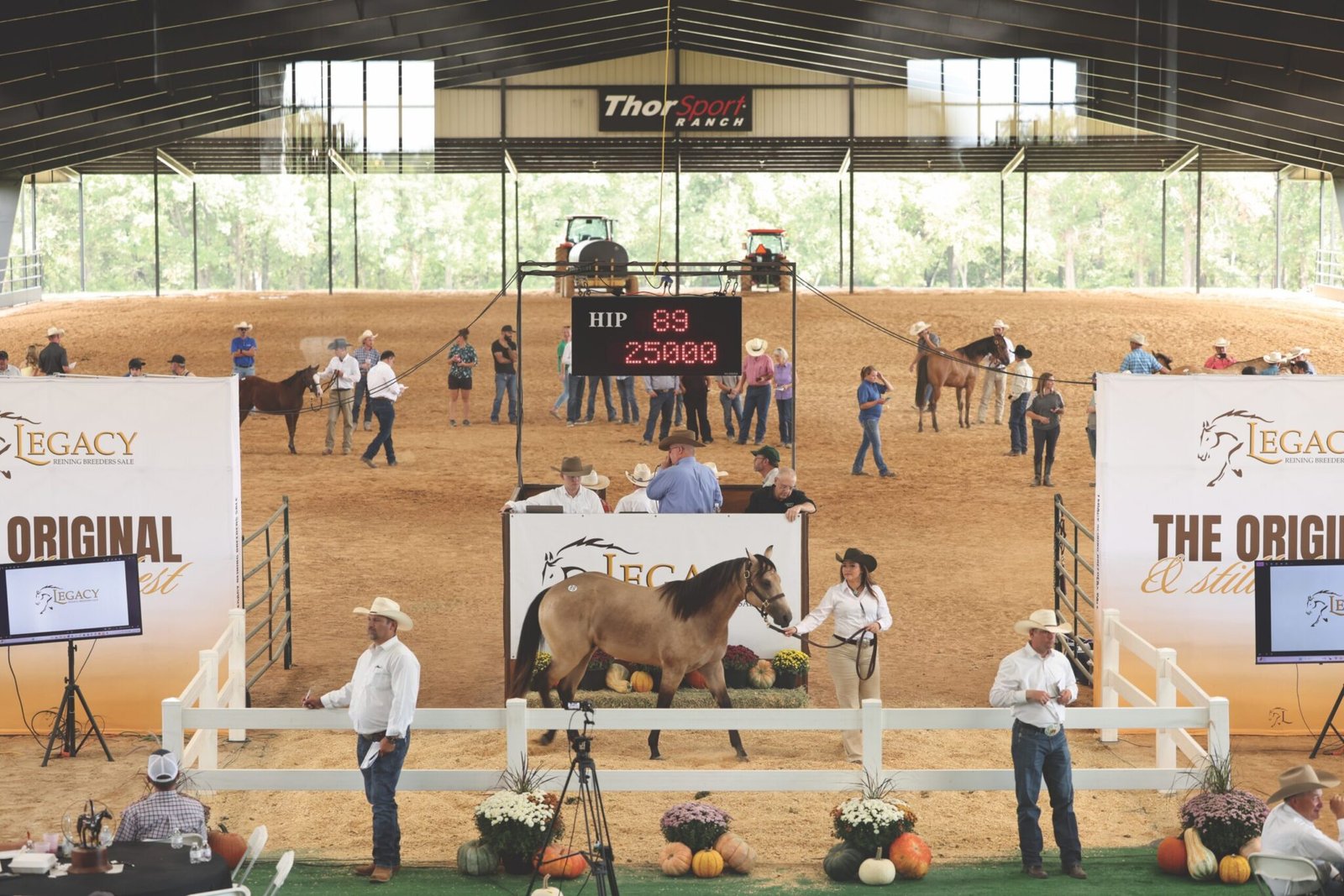 2026 Legacy Reining Breeders Sale & Designer Sale Results