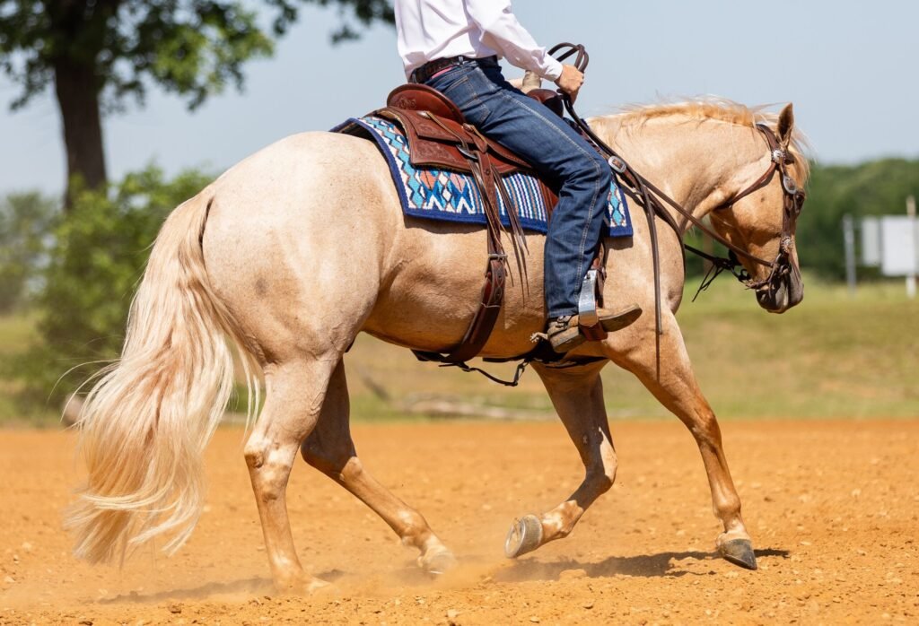 3 Traits Leslie Lange Looks For in Ranch Riding Prospects