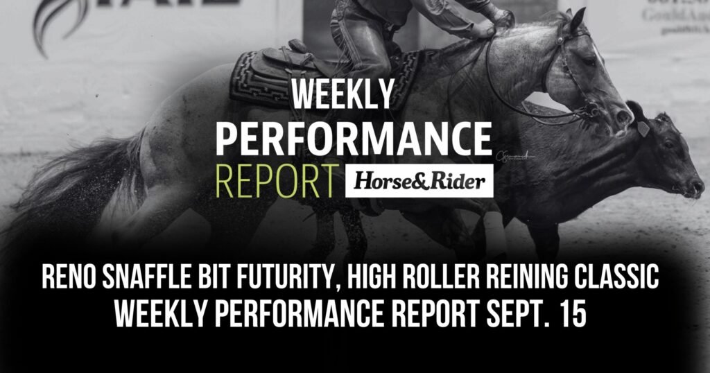 Weekly Performance Report Sept. 15