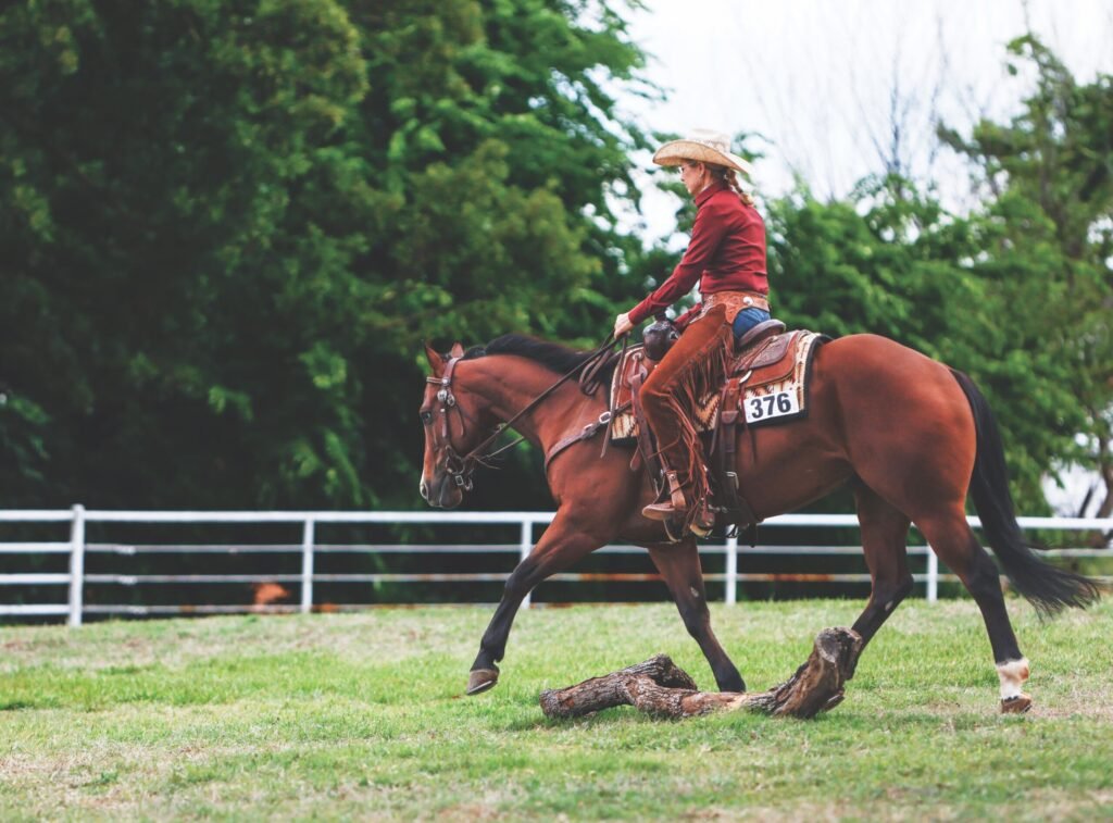 How to Build Riding Confidence for Show Day