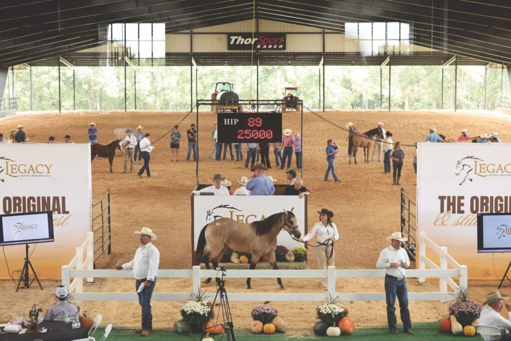 Legacy Reining Breeders Sale: A North Texas Tradition